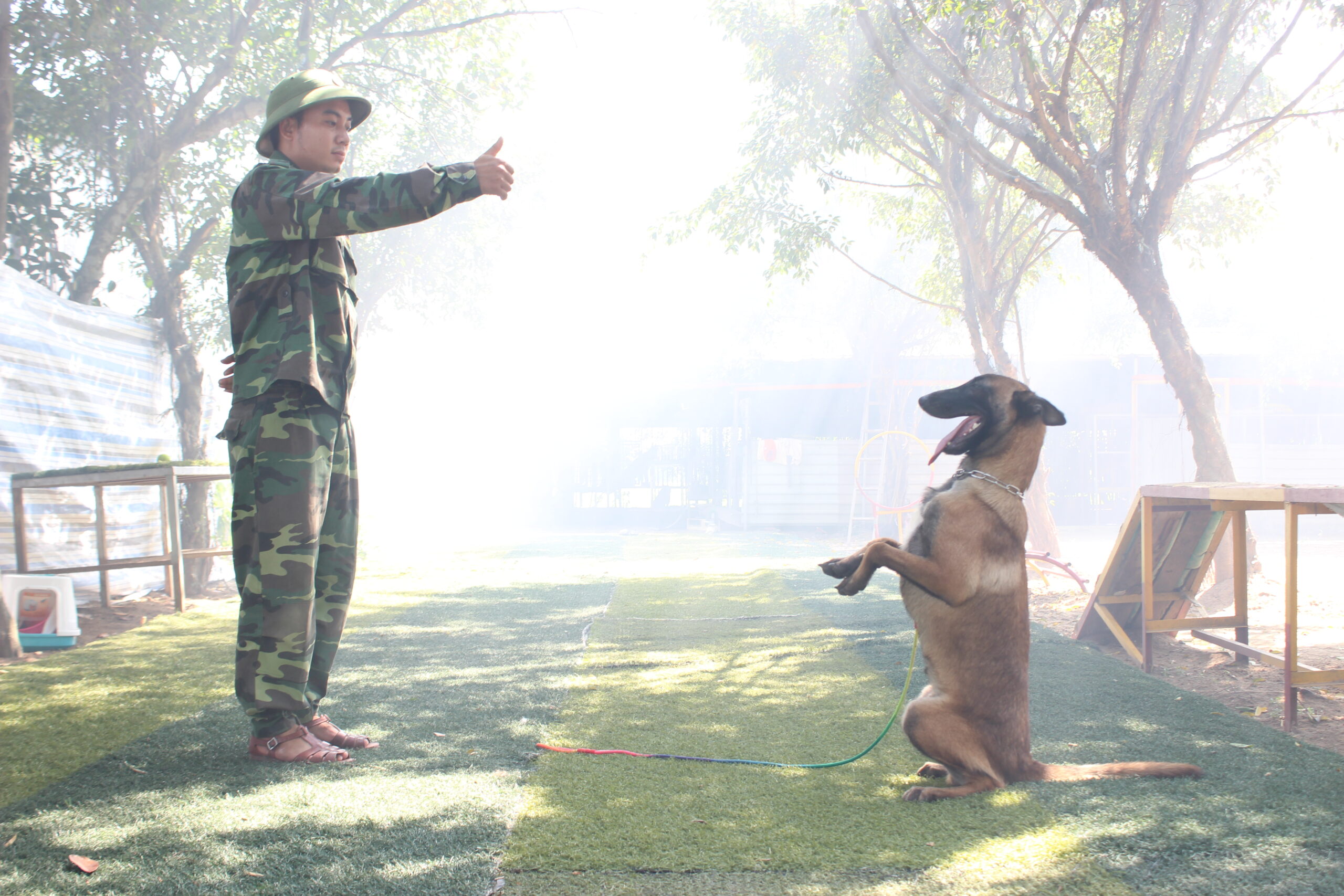 Bí kíp huấn luyện chó sủa người lạ theo mệnh lệnh 1 Huấn luyện chó sủa người lạ 01