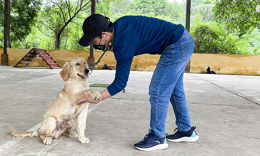 Bí kíp huấn luyện chó sủa người lạ theo mệnh lệnh 5 Huấn luyện chó sủa người lạ 05